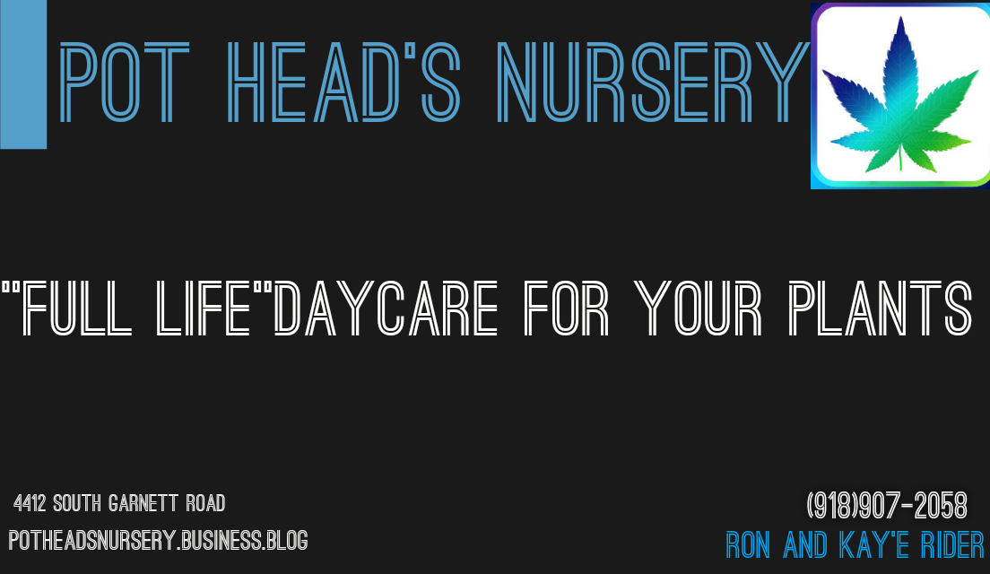 Pot Head's Nursery:A nursery for full life of medical marijuana plants